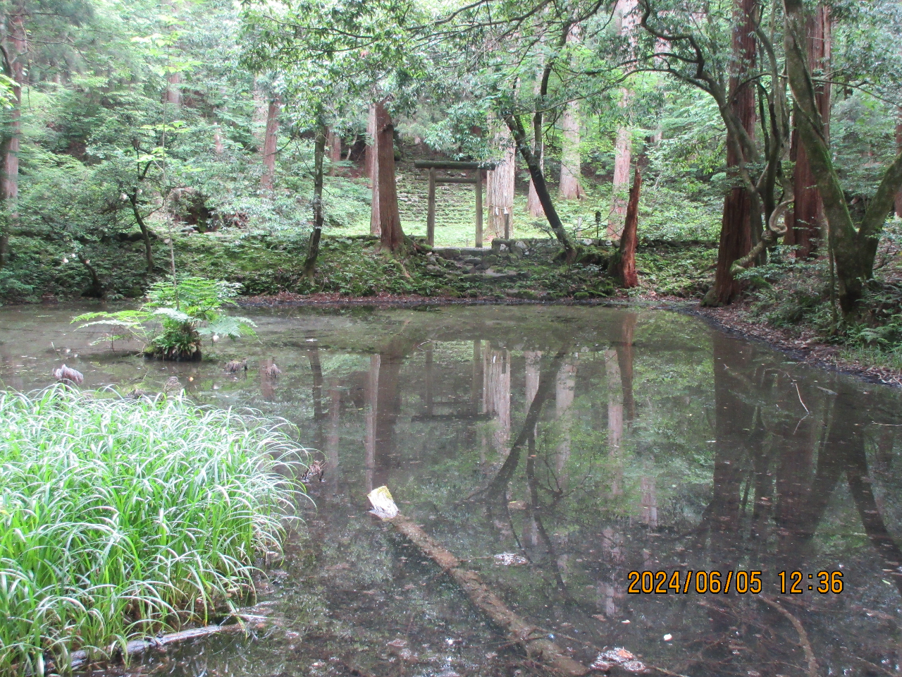 平泉寺の名前の由来となった、御手洗(みたらし)池。