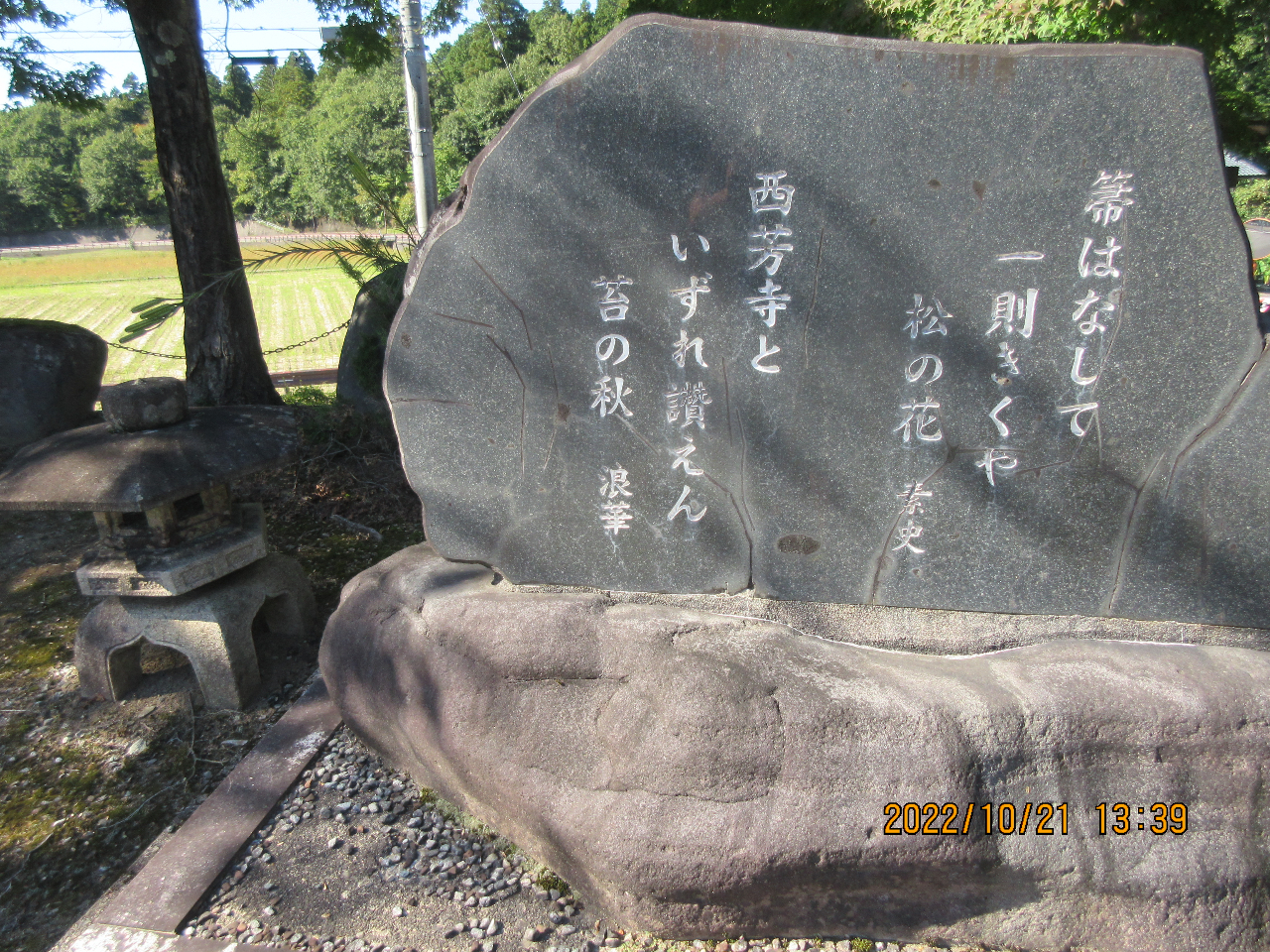 FƂ́Asɂ鐢EY̑ێłB 