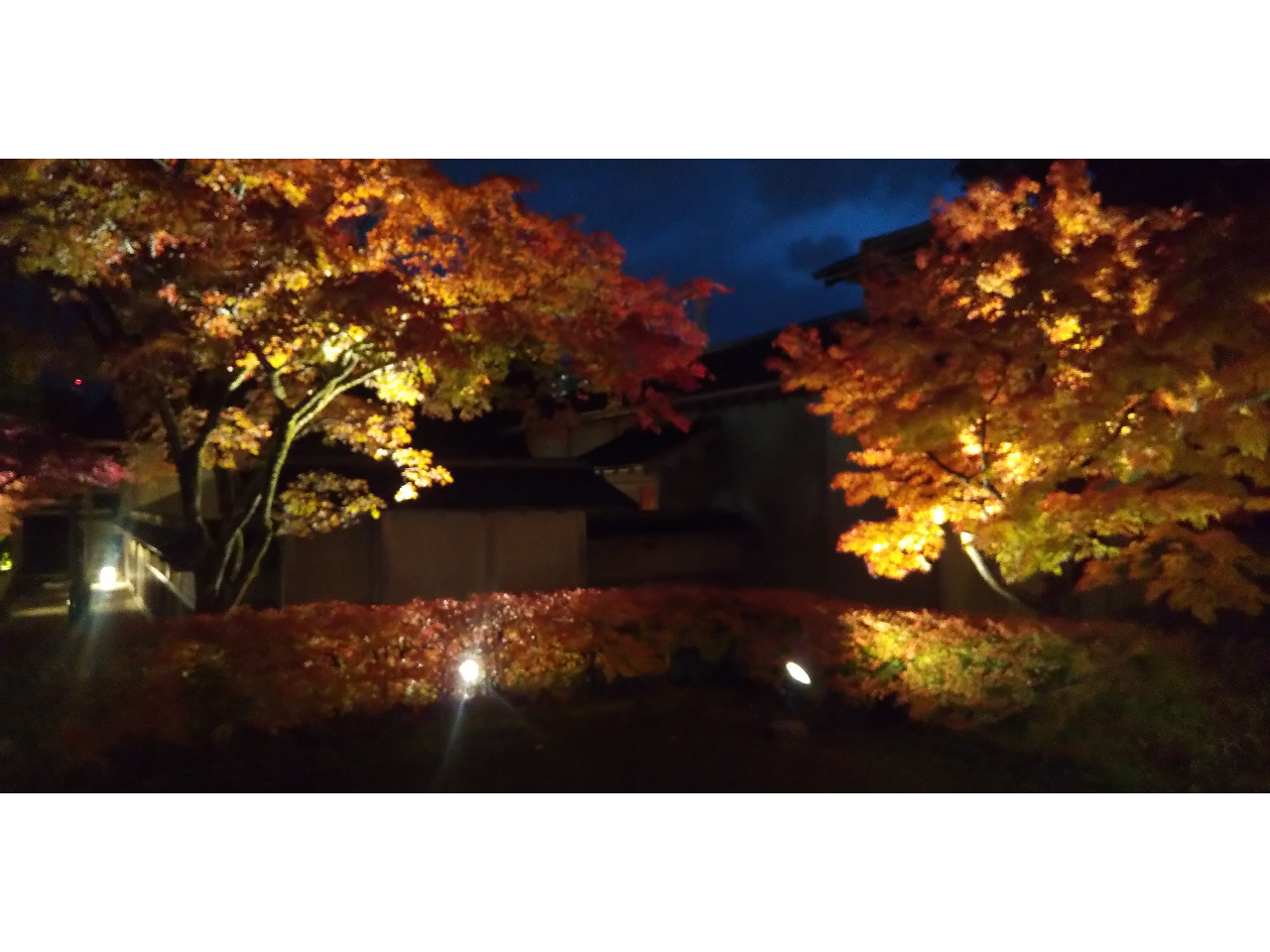 BeF2023N1124 H̃CgAbv1126܂łłB