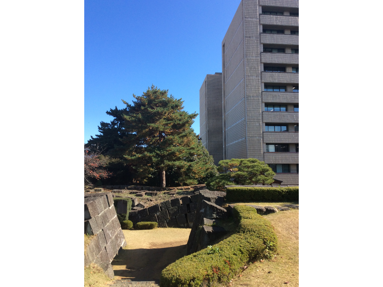 福井城跡。某番組にて、日本一防御力が高い県庁と紹介されました。