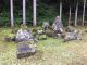 苔もお楽しみください。写真は南陽寺跡庭園。