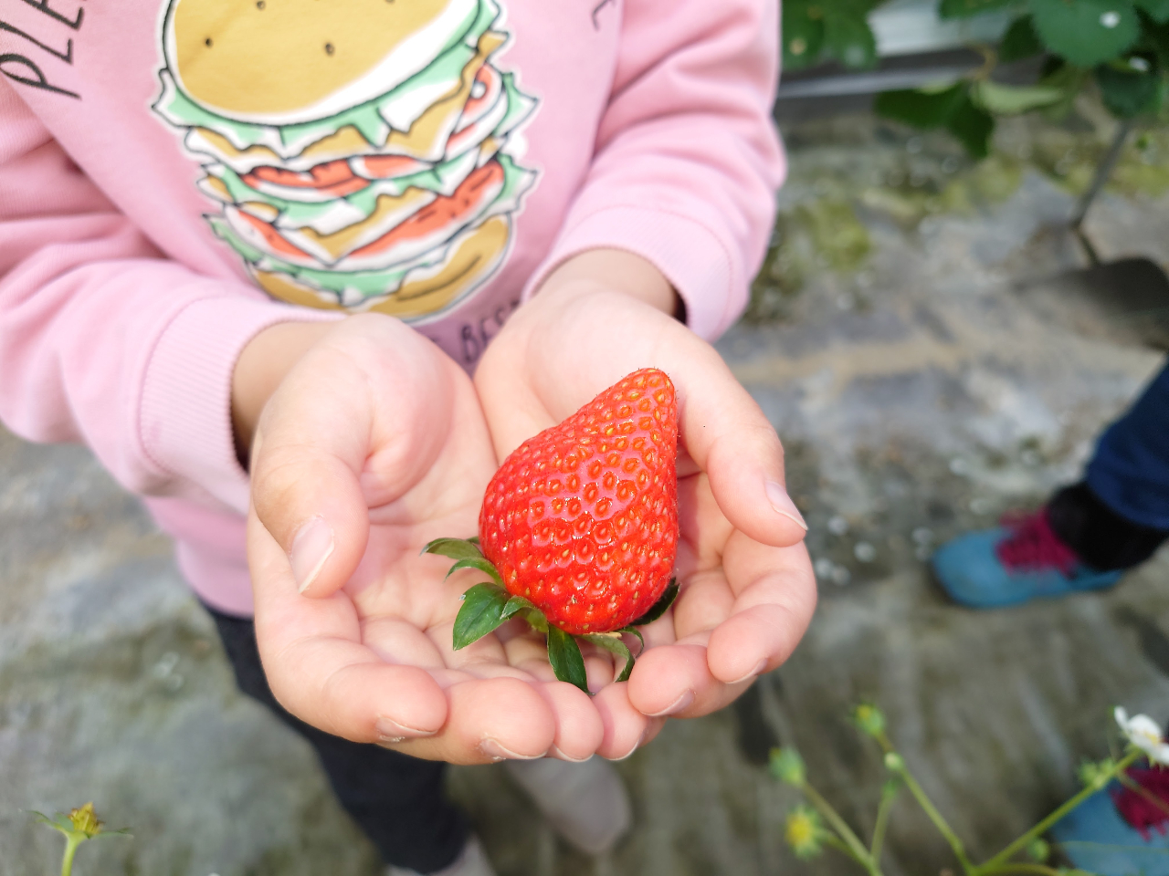 ͕PAڂA͂ЁAB4i̓Eݎ̌o܂!@EݎO4HĖ̈ႢĒĂ炨DȂEݎ肵Ă