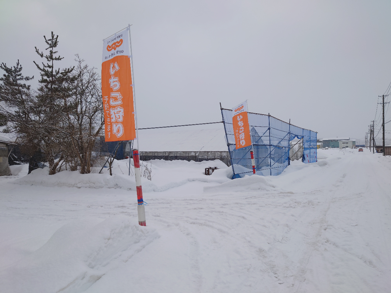 ��������肪�̌��ł���̂͏H�c���ł͐������������Ȃ��A���Â̎s�ł͂��������ł�!�A�N�Z�X���ǂ��Ȃ��Ƃ���ł����C�����Ă��z�����������B