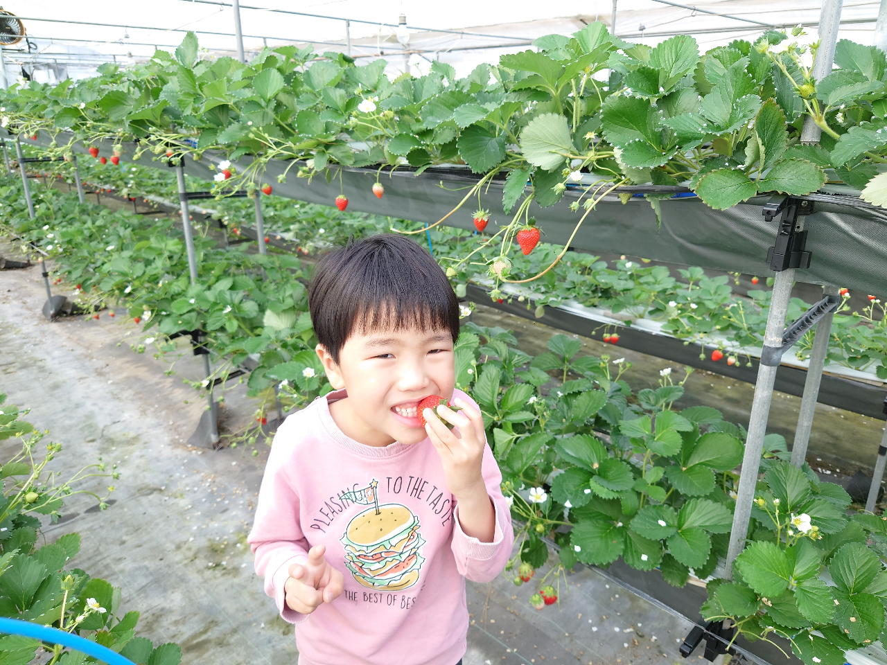 ݍ͔|Ȃ̂ŁA܂܊y߂܂