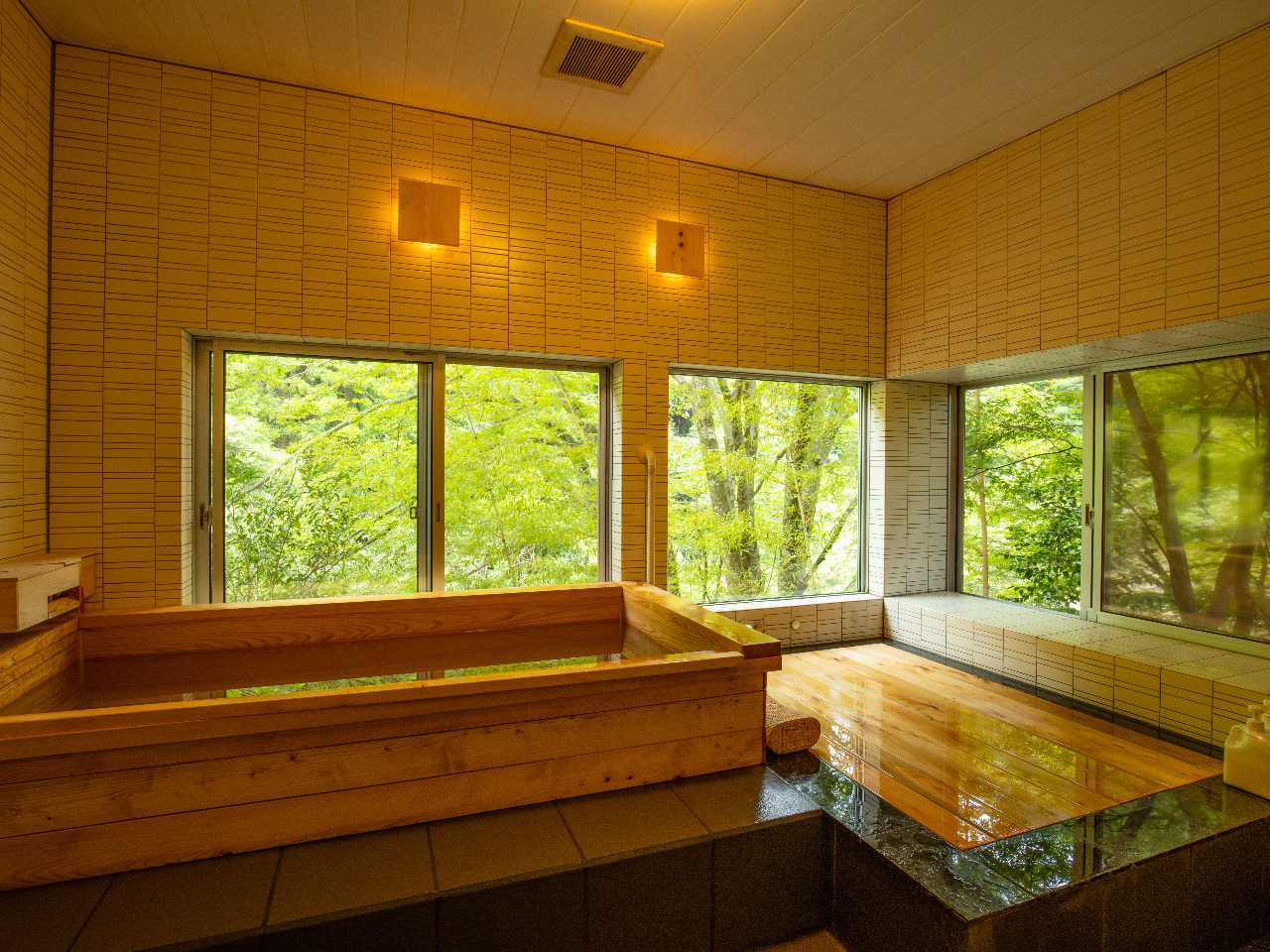 ̊Oɂ͐X̗΂L{ق̞w̓Bw̍肪Ղ̂ЂƎĂB