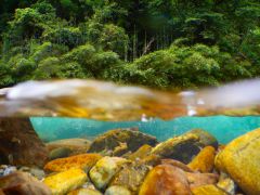 プライベートリバーは鮎釣りのメッカとして知られる四万十源流域の北川川。