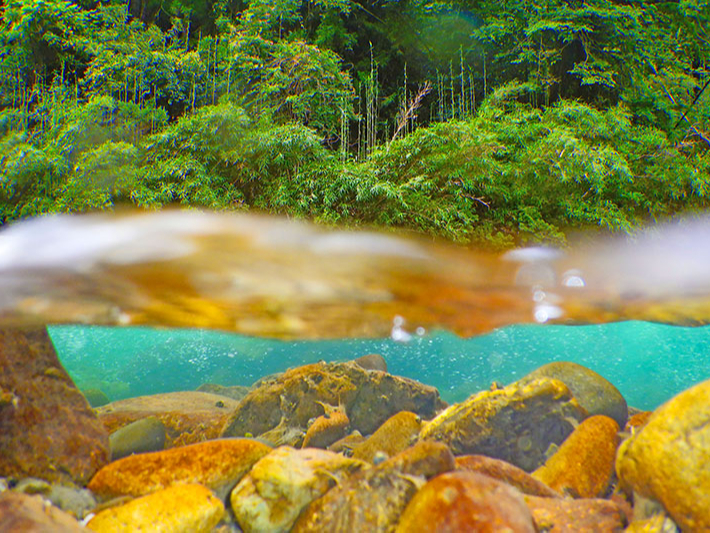 ΂ɗ͈̂ނ̃bJƂĒmقǂ̂ꂢȐ򎿂ւkBCオɐ쌴ł̂т肷̂B