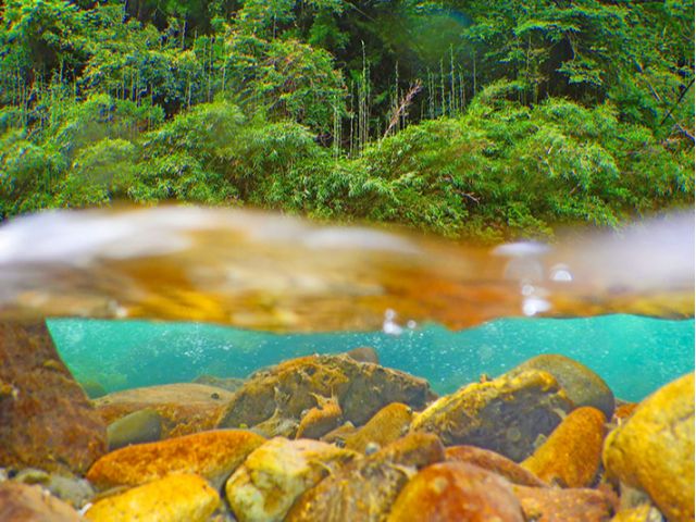 そばに流れるのは鮎釣りのメッカとして知られるほどのきれいな泉質を誇る北川川。お風呂上がりに川原でのんびりするのもいい。