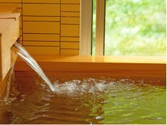 肌触り心地良いアルカリ硫黄泉。天候によっては良泉にみられる湯の花も。