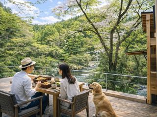 四万十源流が新緑に染まり始める春のテラス