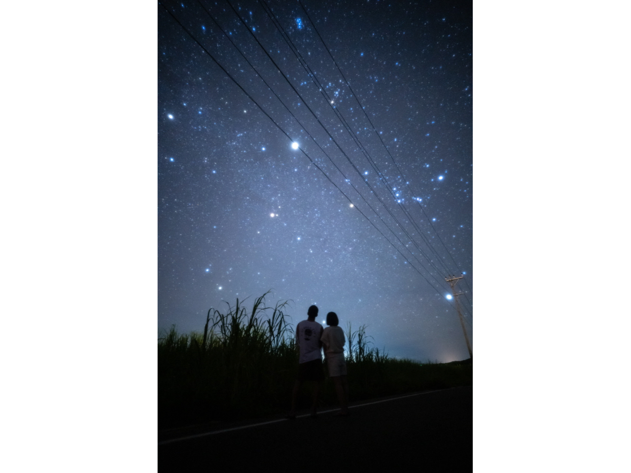 �A�蓹�ɂ͖��V�̐�������邱�Ƃ��ł�������I