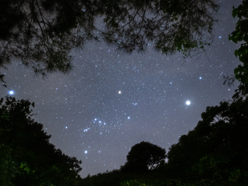 �R���猩�鐯����ō����Y��ł�