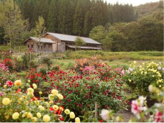 森のテラス ダリア