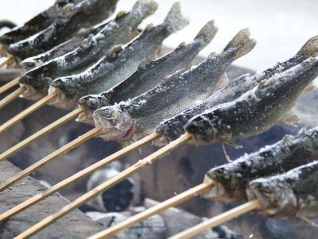 関西最大級 渓流釣り 土日祝日限定 魚釣り 手ぶらbbqプラン 釣った魚をその場で焼いてお召し上がりいただけます 大自然 緑いっぱい 非日常空間 ご家族 カップル 友達に大人気 朽木こがわ渓流センター じゃらん遊び体験 関西最大級 渓流釣り 土日祝日限定 魚釣り 手ぶらbbqプラン 釣った魚をその場で焼いてお召し上がりいただけます 大自然 緑いっぱい 非日常空間 ご家族 カップル 友達に大人気 朽木こがわ渓流センター じゃらん遊び体験