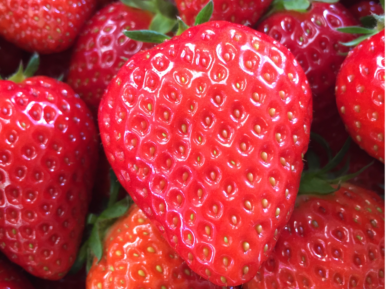 ȂԂ̂肠키BĂƂɂȂĂ܂