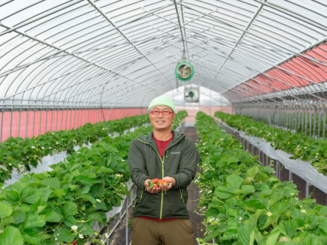 ₶A厖ɈĂ䕂V[Y͖Tyݒ܂恝łÄɐ܂炿AЂƗĂQOPPNɊJnɐ䕉