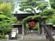手入れが行き届く日本庭園だけではなく、山頂から見る鎌倉も格別 長谷寺
