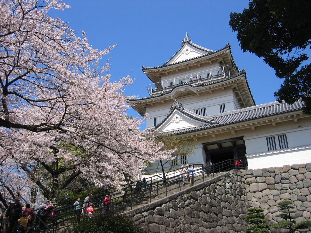 Odawara Castle