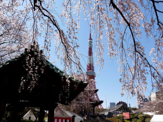Tokyo Tower
