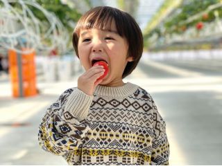 小さなお子様でも自分でイチゴ狩りができます☆
