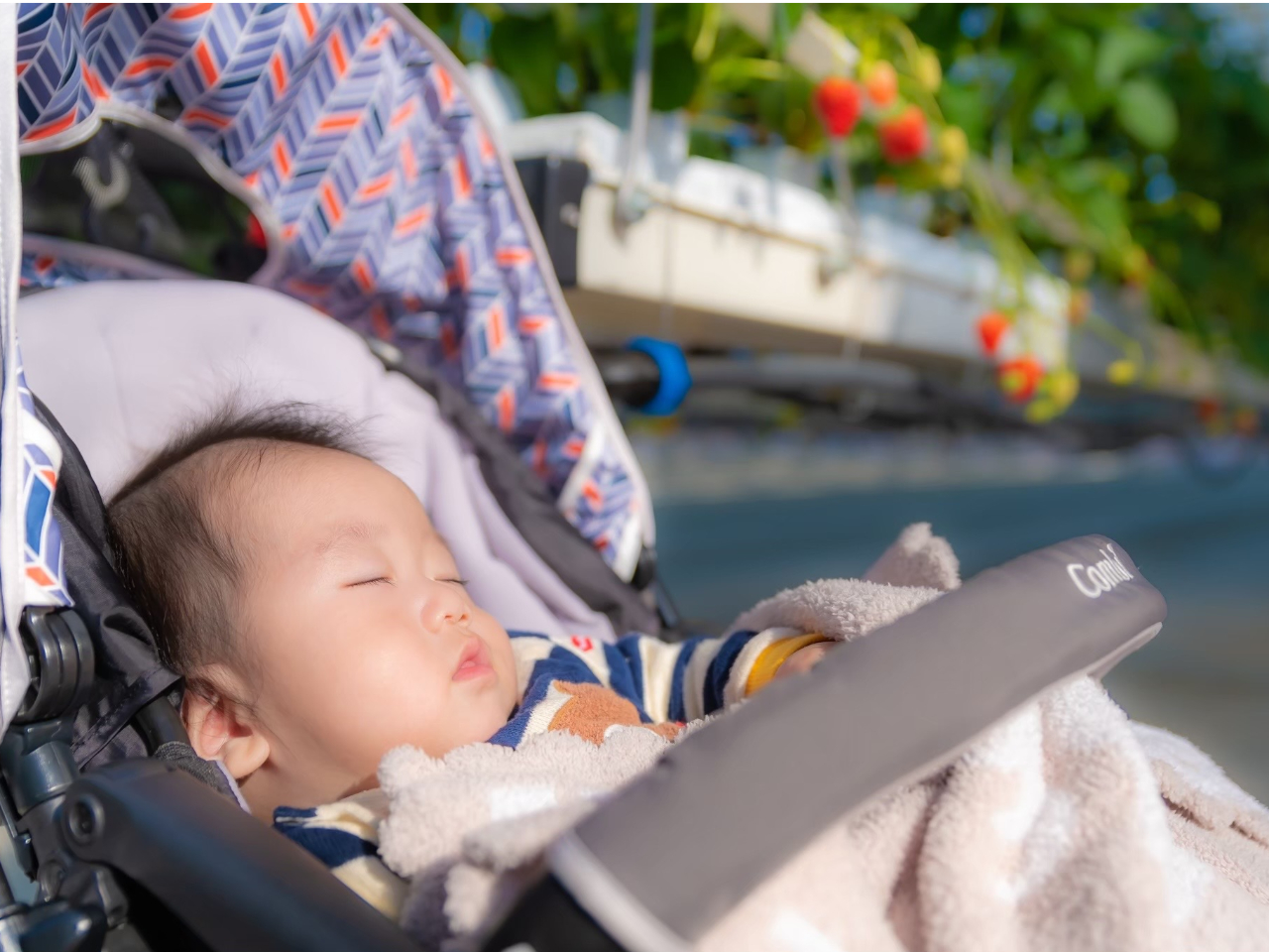 xr[J[̂܂܃nEXɓ邱Ƃł܂I