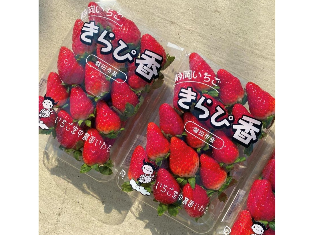 pɂAɂIyŶpbN̔Ă܂I