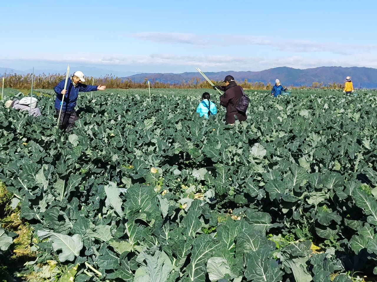 t@~[ŃubR[nBX^btJɑΉ܂B