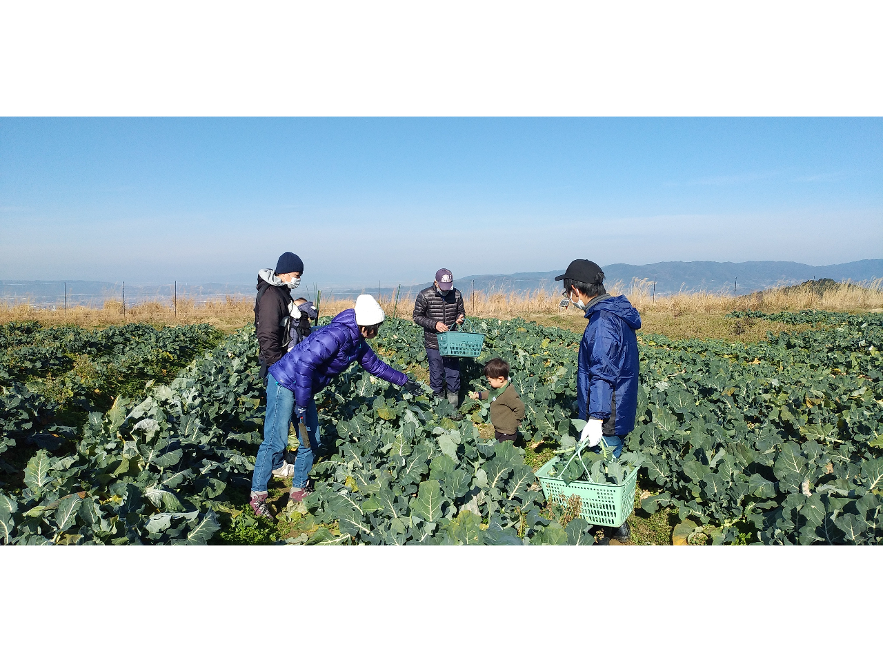 ȂqlAA劽}I@LԂŖ؂ɐGAyɐGB@ޗǖ~n߂܂IW300m𒴂܂I