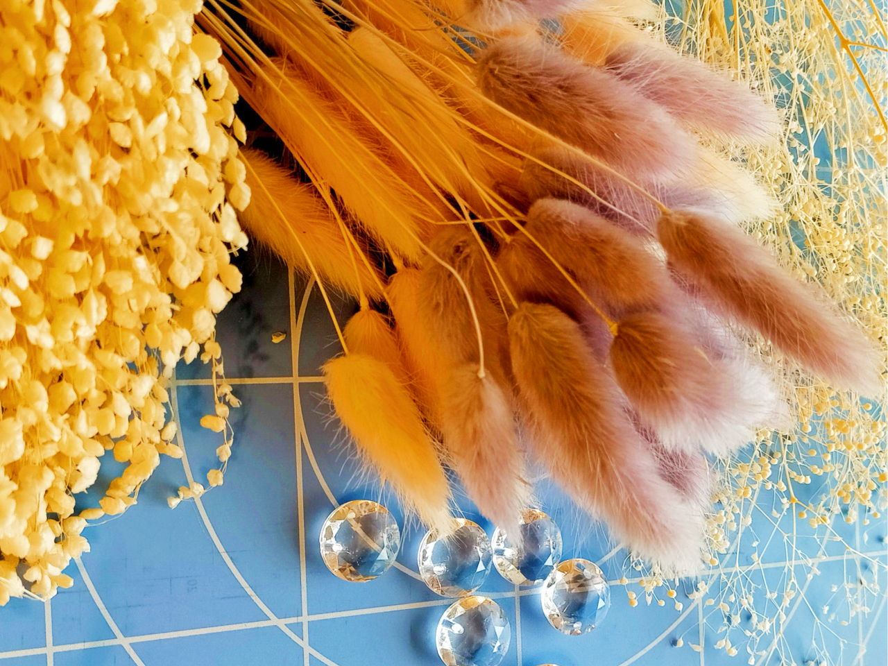 Dȃr[YhCt[gđfGɏ܂傤Bʐ^͈łB