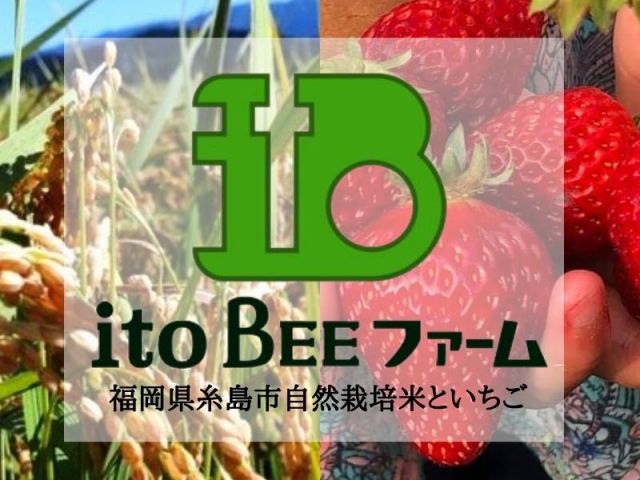New 22年open 糸島の観光農園 あまおう 紅ほっぺの40分の食べ放題 土日限定 Itobeeファーム じゃらん遊び体験 New 22年open 糸島の観光農園 あまおう 紅ほっぺの40分の食べ放題 土日限定 Itobeeファーム じゃらん遊び体験