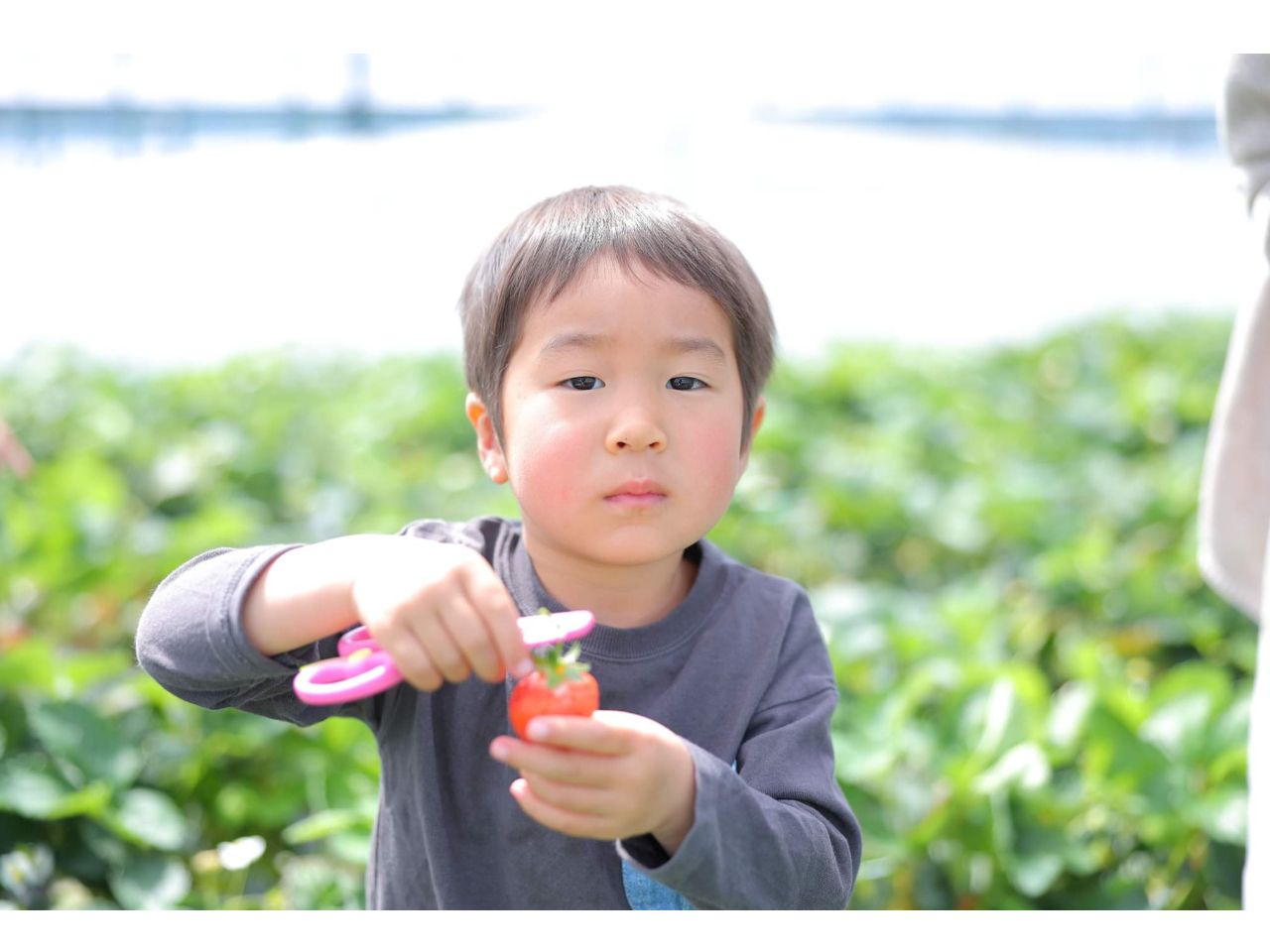 �����Ƃ����ƐH�ׂ����I