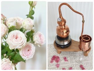 薔薇の花びらを使って芳香蒸留器でローズウォーターを作ります。薔薇の香りに包まれながら、手肌と心を整える植物と癒しの時間をお過ごしください。