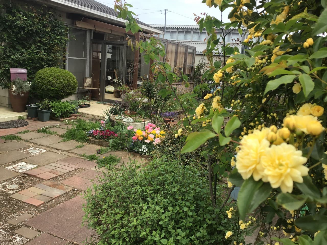 花や草に囲まれ、ゆったりと時間が流れる空間も典祥窯の特徴です