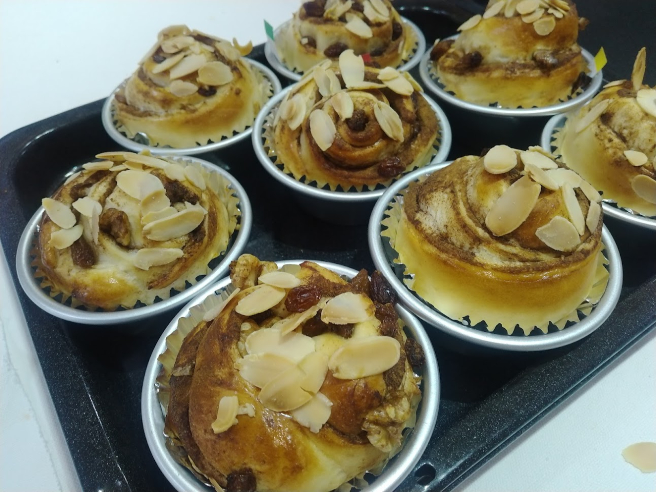 �V�i�������[��