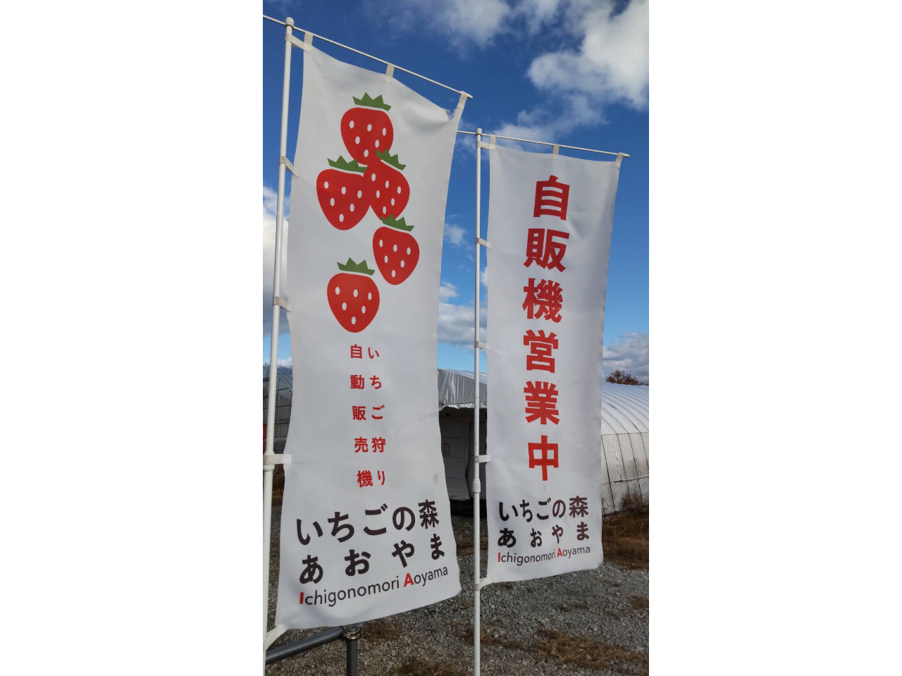 cƒ͂̂ڂo܂B̂ڂ̃}[NڈɂB̔@̉cƂ͕sƂȂ܂̂ŁAű@cƒv̂̂ڂڈɂĂB