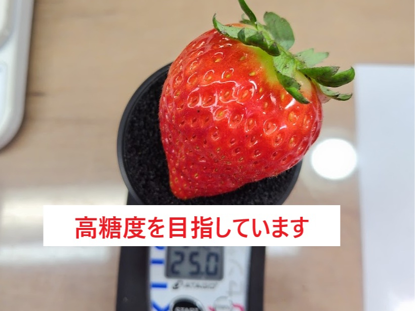 �Â����������R�����オ��􍂓��x�̂��������Y��ڕW�ɂ��Ă��܂��I