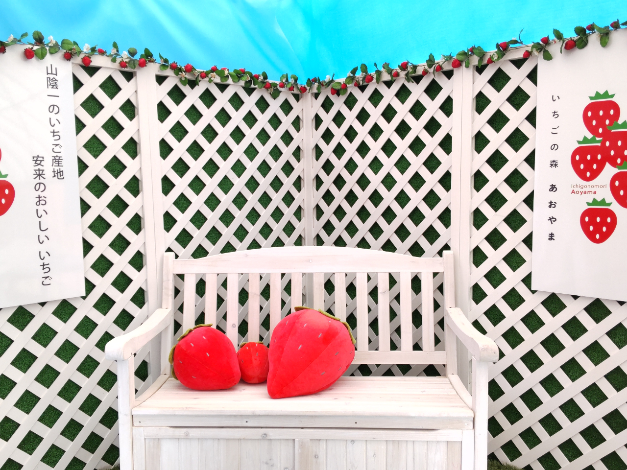 �C���X�^�O�����ɂ҂�����̃t�H�g�X�|�b�g�A�v���o�̈ꖇ��������łǂ����B