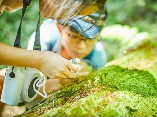 ルーペでコケを観察