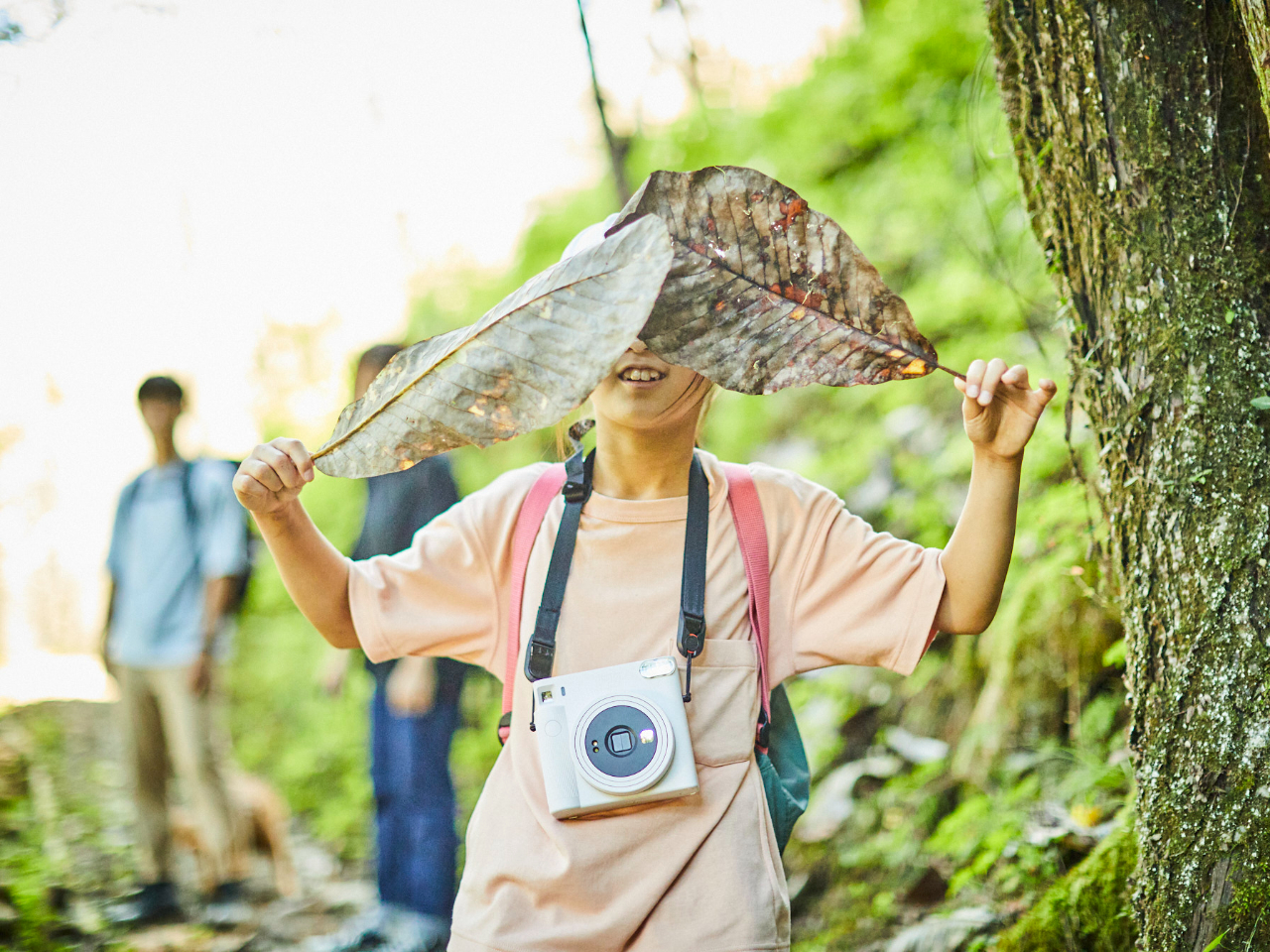 �����ɂ͑傫�ȗt���ρA���グ���炫�ꂢ�Ȃ��Ԃ���ȂǁA���R�̒��ɂ͔����������ς�