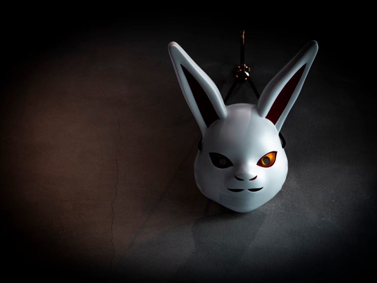 �e�����ɕ{�̎ʐ^4