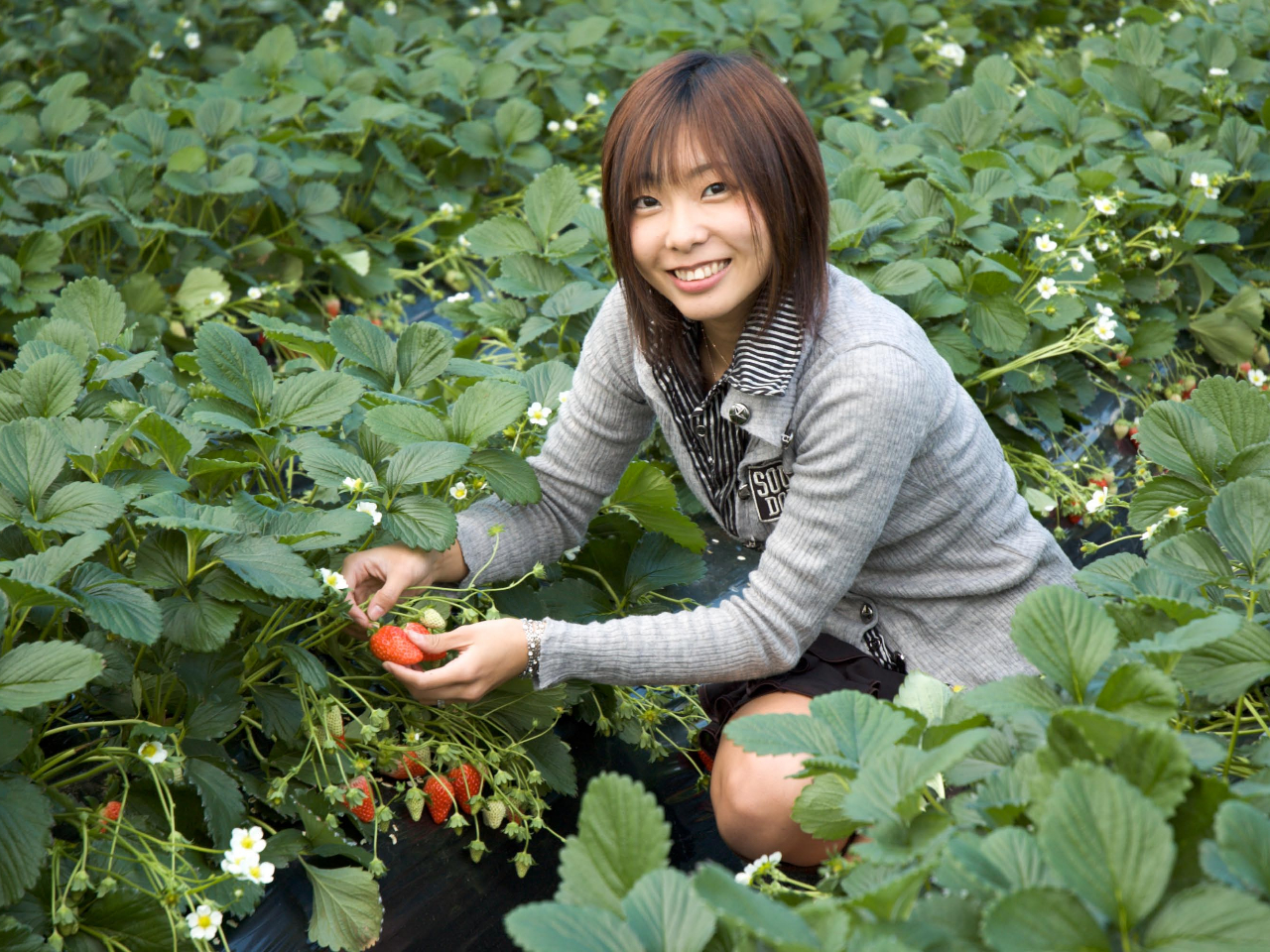 お子様~ご高齢の方まで、老若男女問わずお楽しみいただけます！