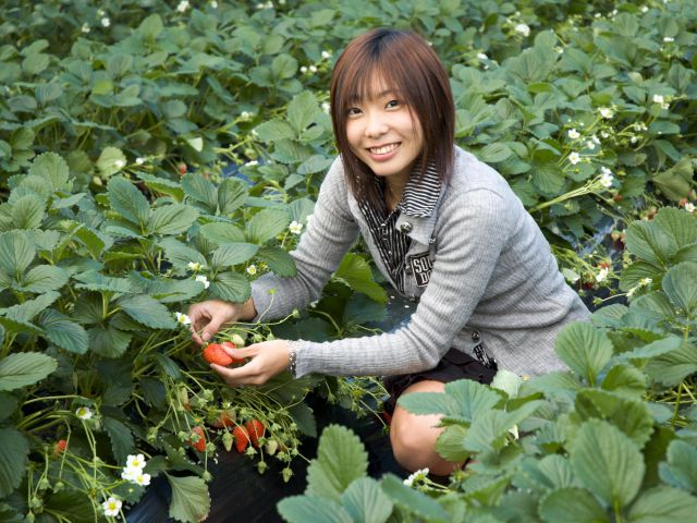 お子様~ご高齢の方まで、老若男女問わずお楽しみいただけます!