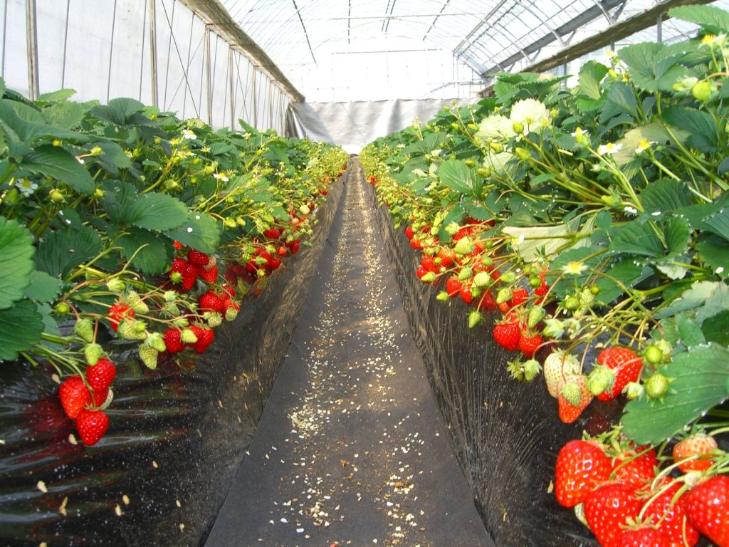 �嗱�̂�������S�s���܂ł��y���݉�������