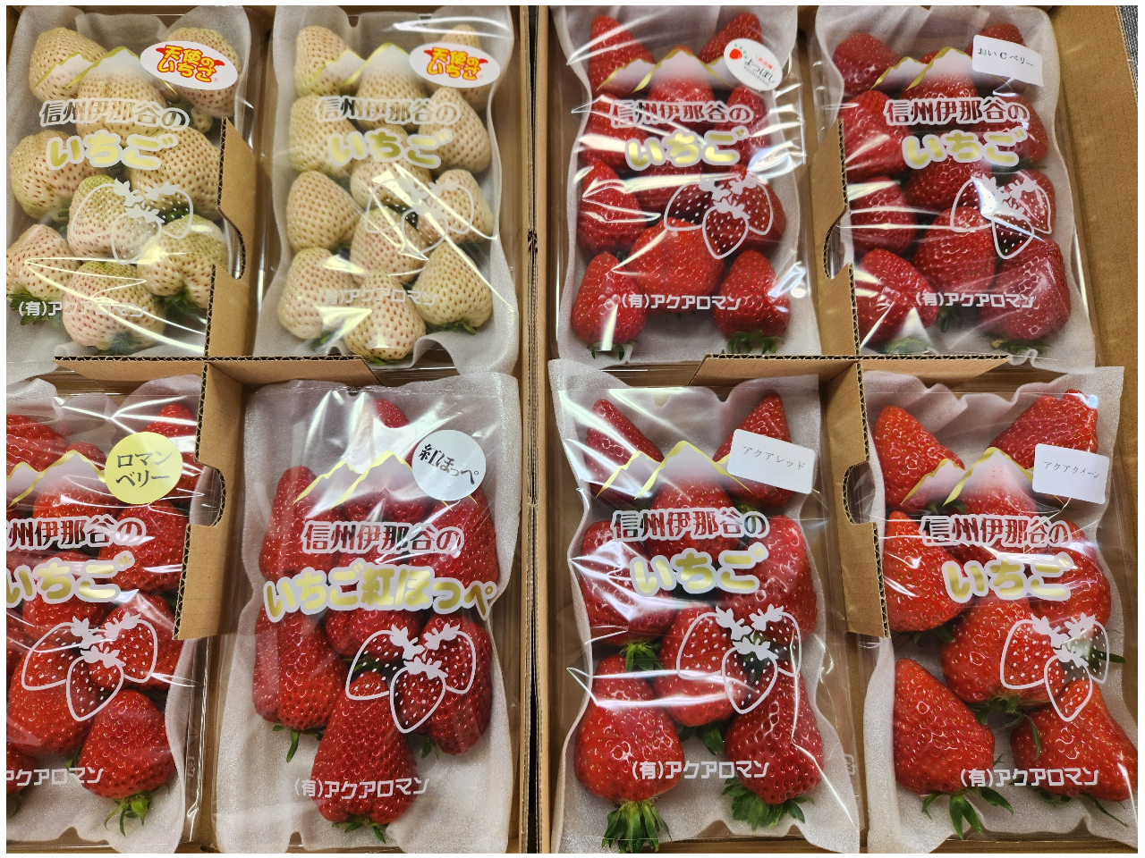 ピク　イマン　クラッシックイチゴ ピク イマン クラッシックイチゴ 2025年最新】イマン いちごの人気