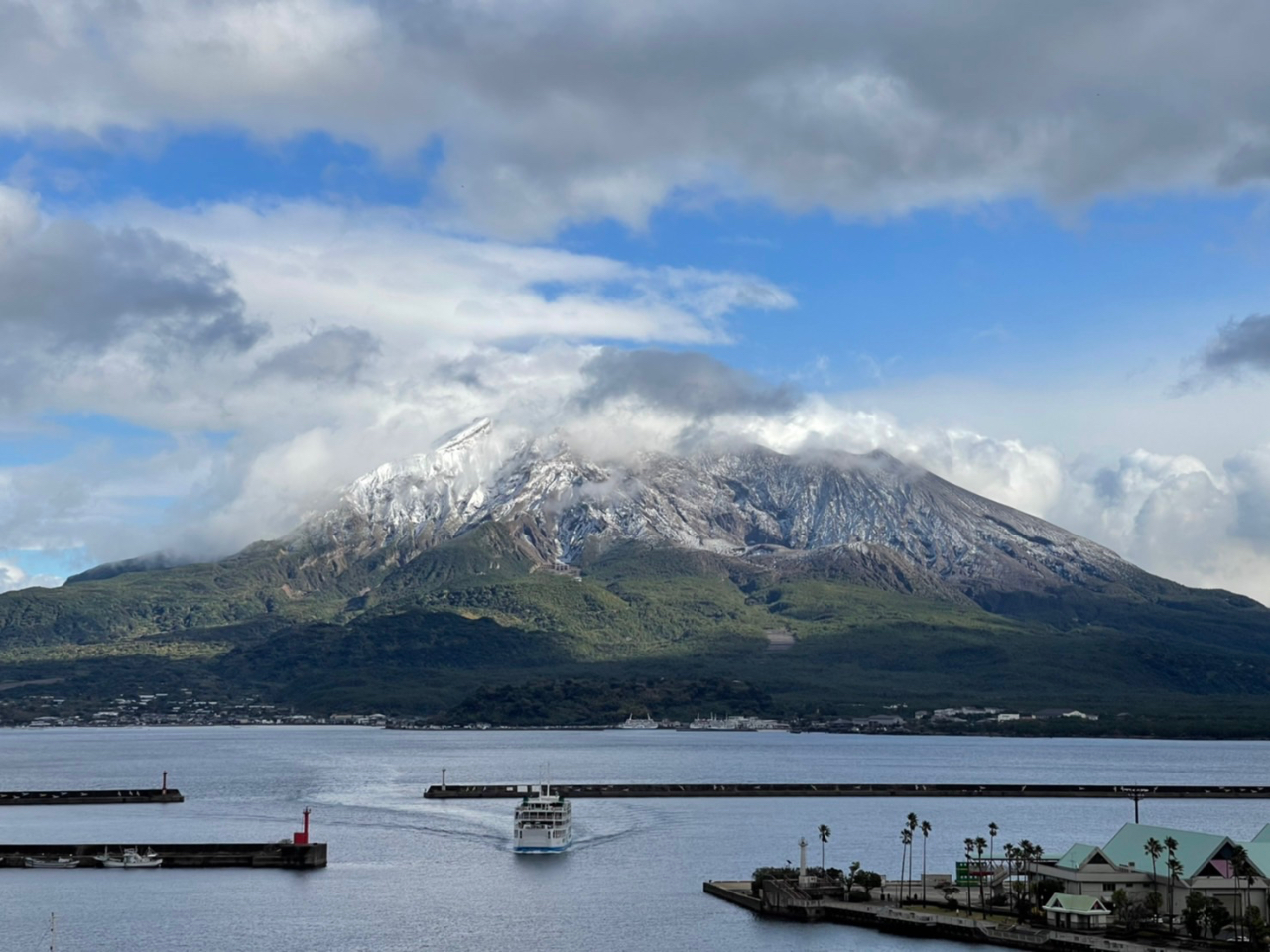 山採り　アカシデ　特大 伊豆大島の裏砂漠ガイドツアー│オレンジフィッシュ｜伊豆大島の