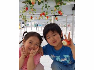 高設栽培だから撮れるこちらの写真!!