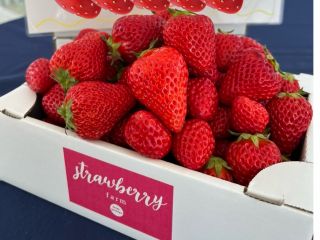 好きな品種を好きなだけ、自分で摘み取れます!!量り売り!!持ち帰り可!! *食べ放題プランではありません。*その場では、食べられません!!