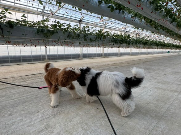 ͂߂܂āIt@[ł2022N18(y)ɃI[v܂Fl̂S肨҂Ă܂B