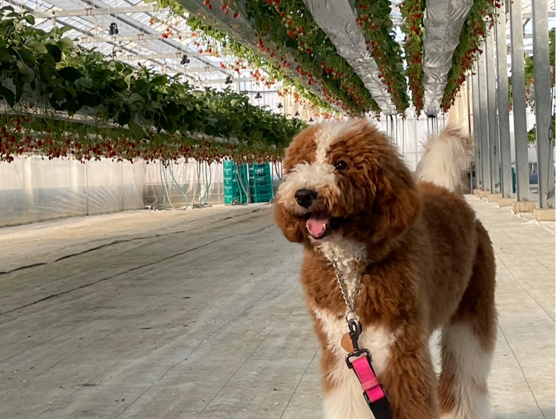 ̃vł͂񂿂̓OKłIӎǂ݂ɂȂĂzB