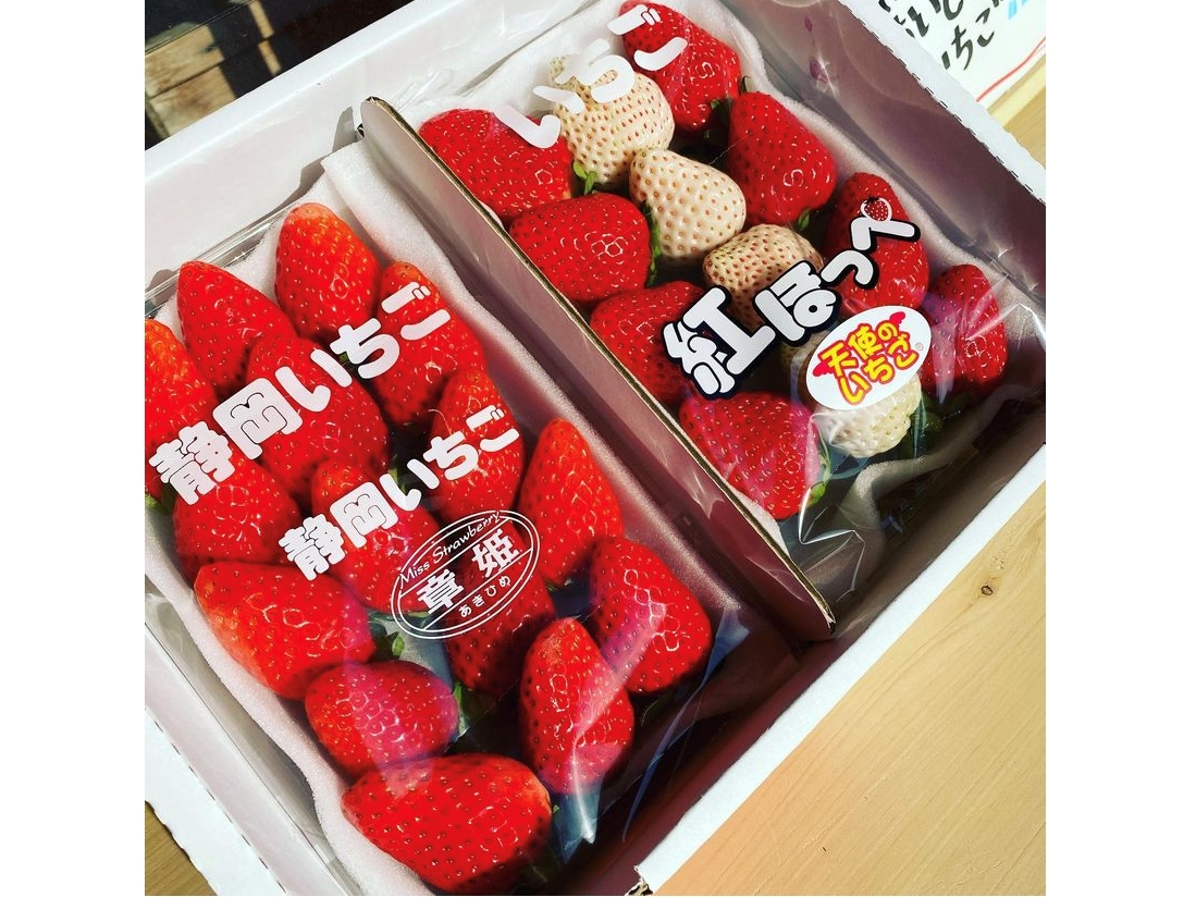 4/1～4/30】石垣いちご狩り・複数品種食べ比べ60分♪運が良ければ白苺